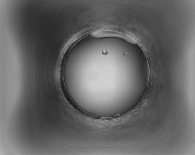 X0000115240007200911061157