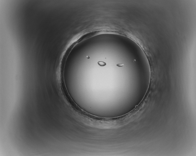 X0000115240008200911061157