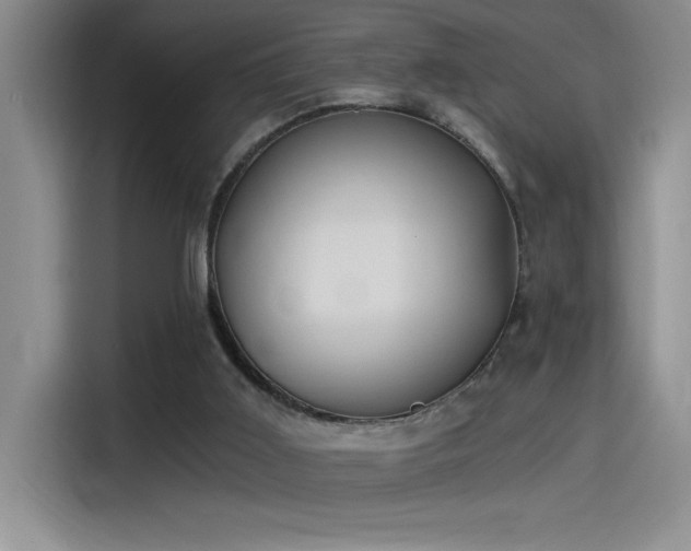 X0000115240011200911061157