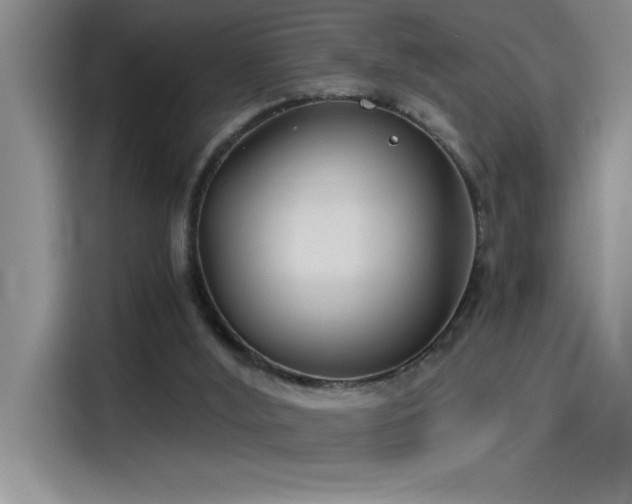 X0000115240012200911061157