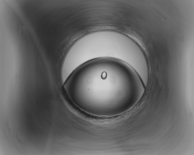 X0000115240013200911061157