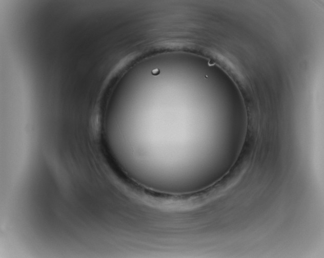 X0000115240016200911061157
