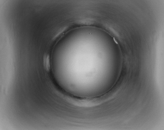 X0000115240020200911061157