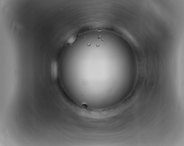 X0000115240022200911061157