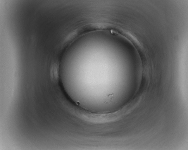X0000115240023200911061157