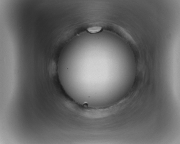 X0000115240025200911061157