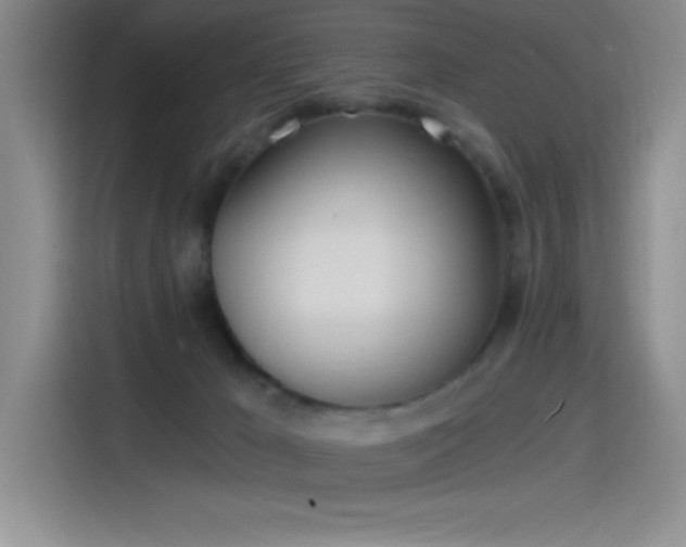 X0000115240029200911061156