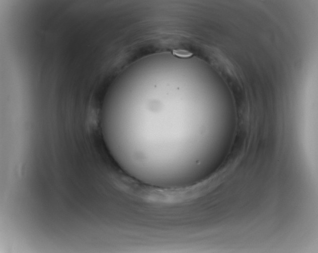 X0000115240033200911061156