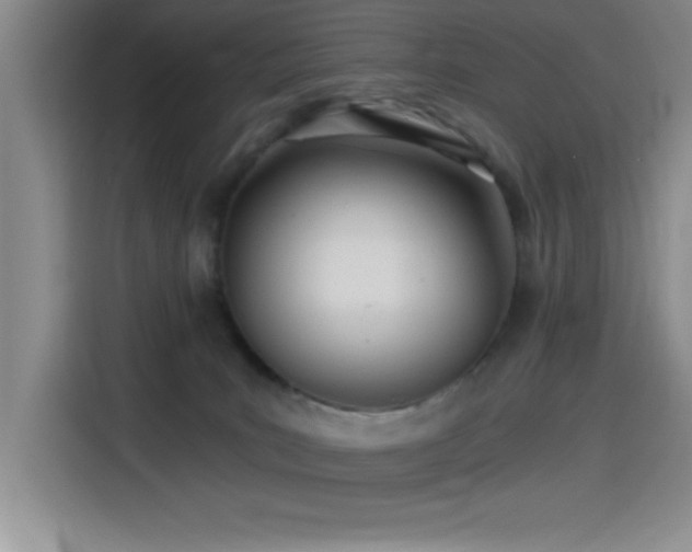X0000115240035200911061156