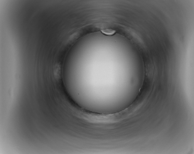 X0000115240036200911061156