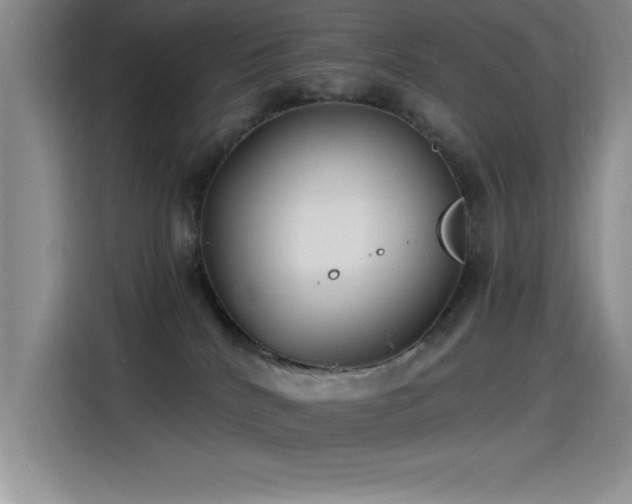 X0000115240040200911061156