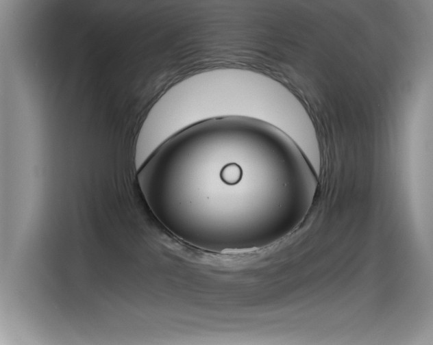 X0000115240041200911061156
