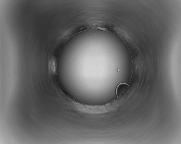 X0000115240042200911061156