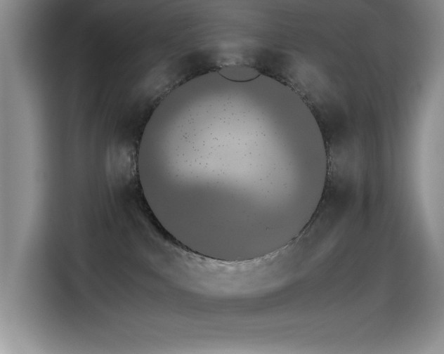 X0000115240043200911061156