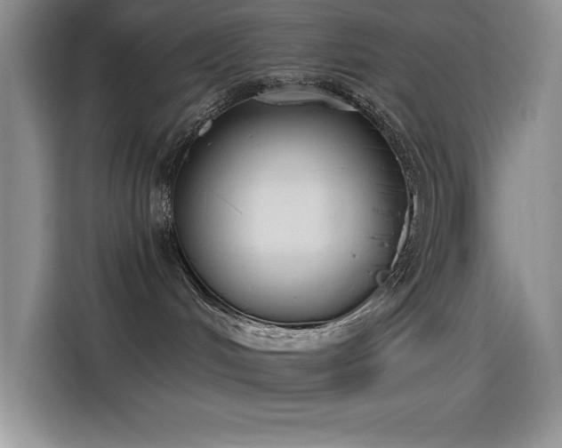 X0000115240048200911061156