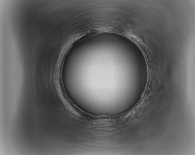 X0000115240049200911061156