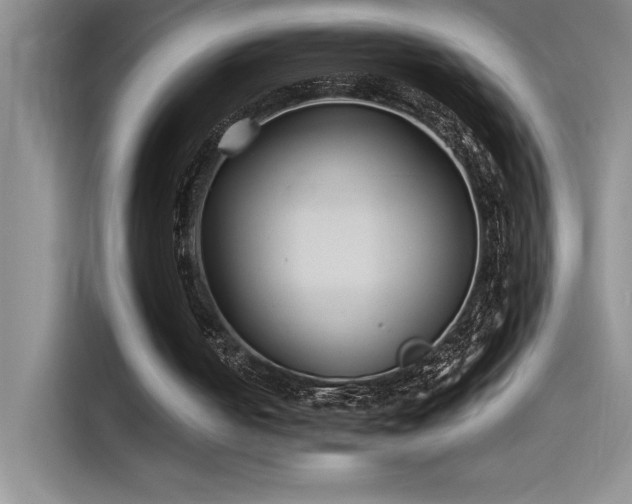X0000115240050200911061156