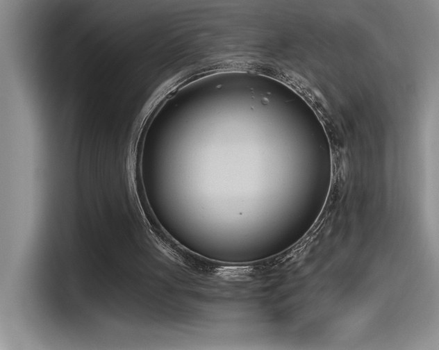 X0000115240051200911061156