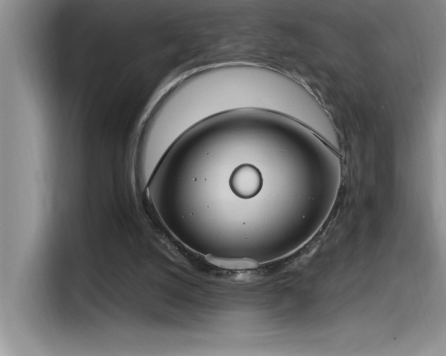 X0000115240056200911061156