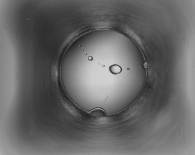 X0000115240059200911061156