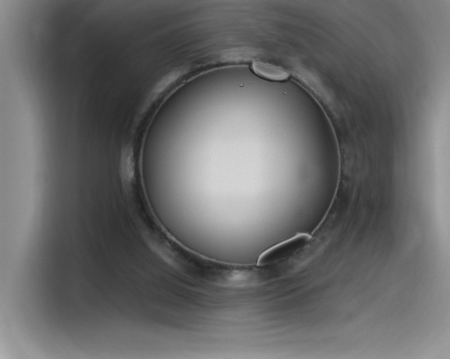 X0000115240060200911061156