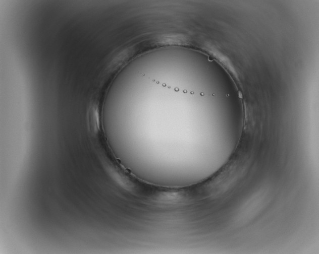 X0000115240061200911061156