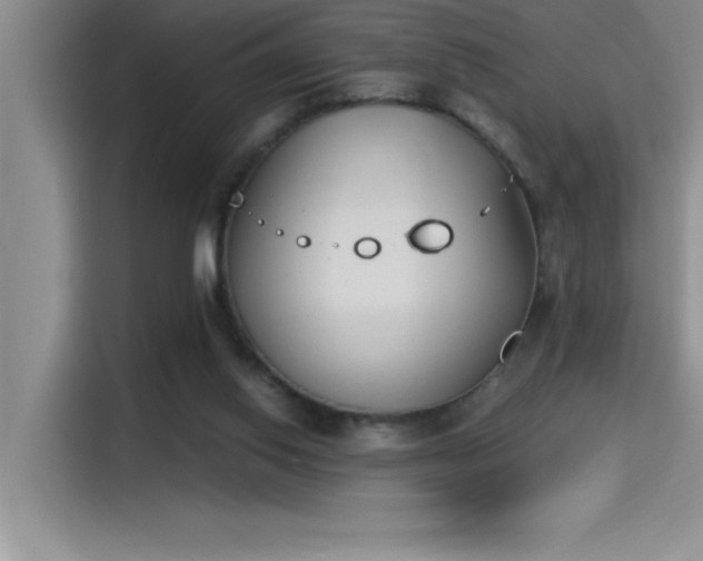 X0000115240062200911061156