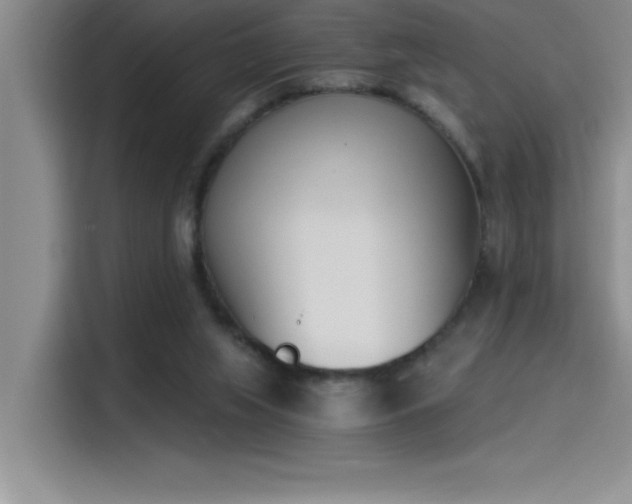 X0000115240063200911061156