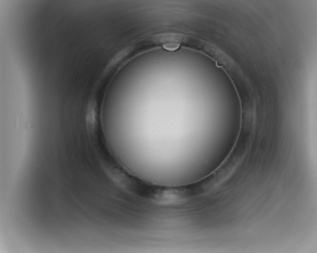 X0000115240064200911061156