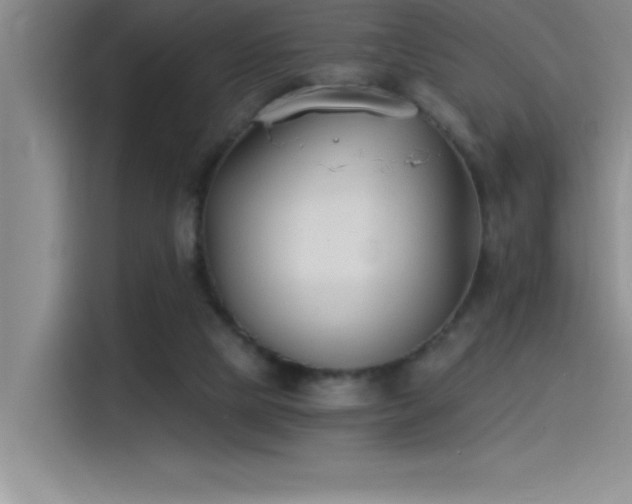 X0000115240065200911061156