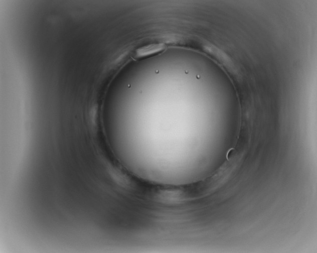 X0000115240066200911061156