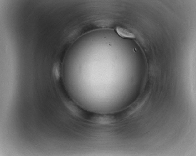 X0000115240069200911061156