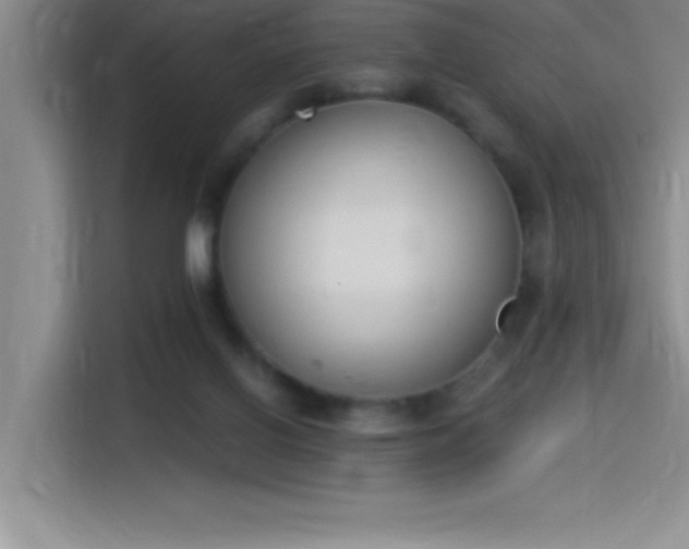 X0000115240070200911061156