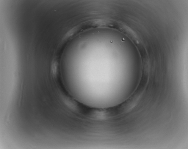 X0000115240071200911061156