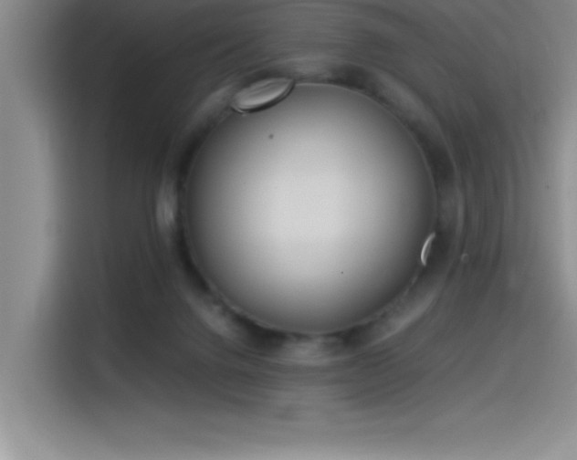 X0000115240072200911061156