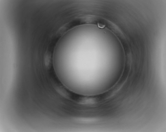 X0000115240073200911061156