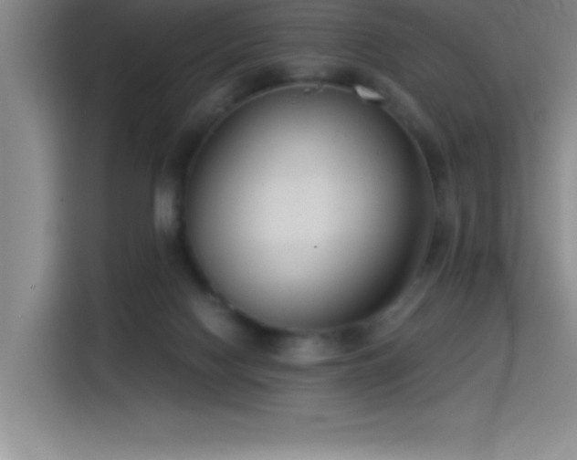 X0000115240074200911061156