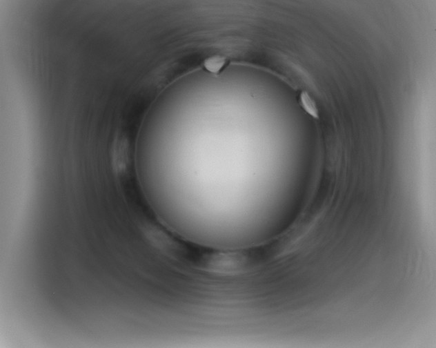 X0000115240077200911061156
