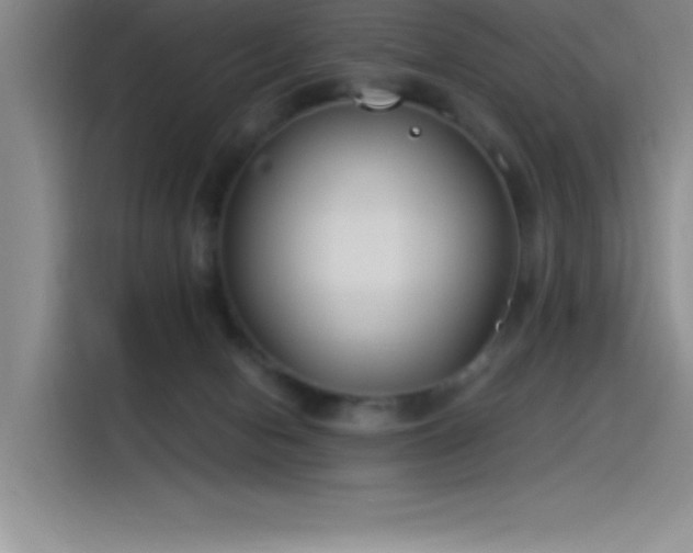 X0000115240078200911061156