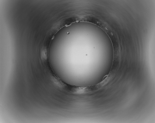 X0000115240090200911061156