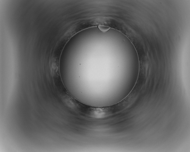 X0000115240091200911061156