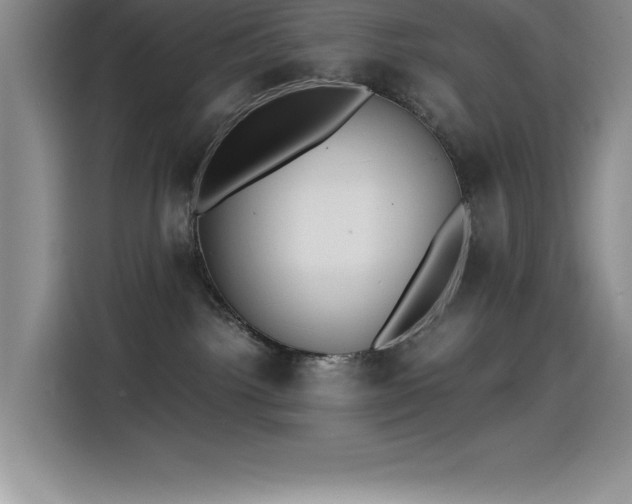 X0000115240092200911061156