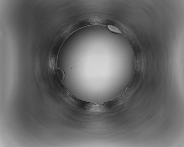 X0000115240093200911061156
