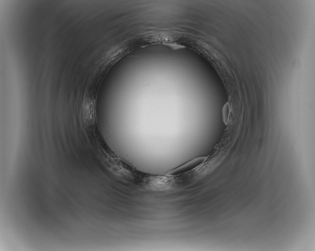 X0000115240096200911061156