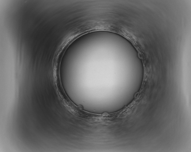 X0000115240098200911061156