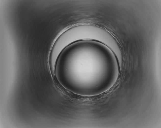 X0000115240100200911061156