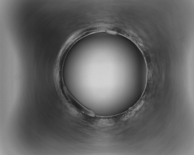 X0000115240101200911061156