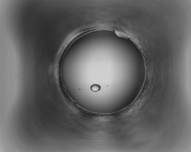 X0000115240103200911061156