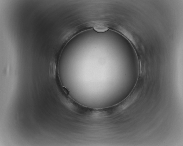 X0000115240109200911061155
