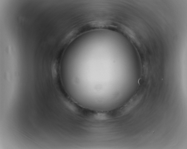 X0000115240114200911061155